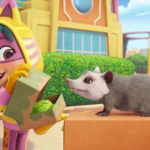 Photo Équipe Action