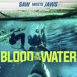 Photo Blood in the Water