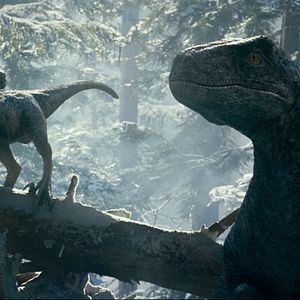 Photo Jurassic World: Le Monde d'après