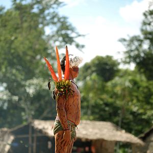 Photo Yanomami, les voix de la forêt