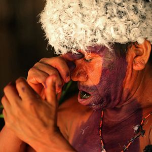 Photo Yanomami, les voix de la forêt