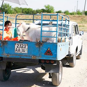 Photo Au bout du monde