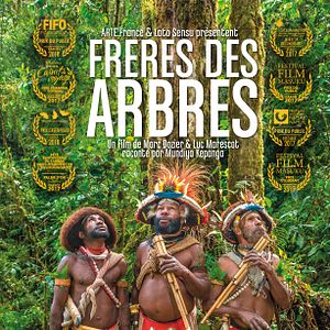 Photo Frères des arbres