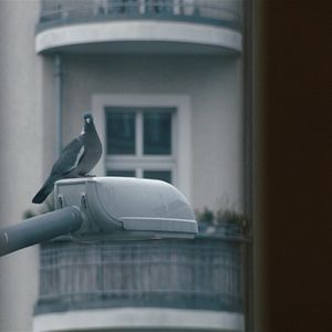 Photo La République du silence