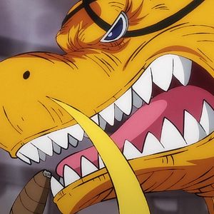 Photo One Piece