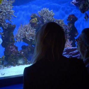 Photo Monaco, des princes et des océans