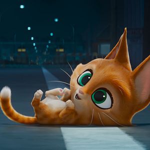 Photo Krypto et les Super-Animaux