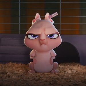 Photo Krypto et les Super-Animaux