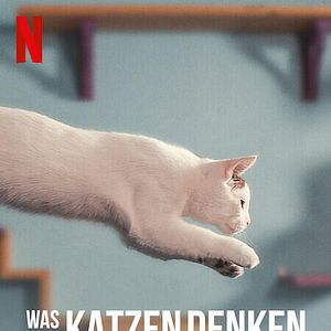 Photo Notre Langue aux Chats