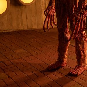 Photo Le Cabinet de curiosités de Guillermo del Toro