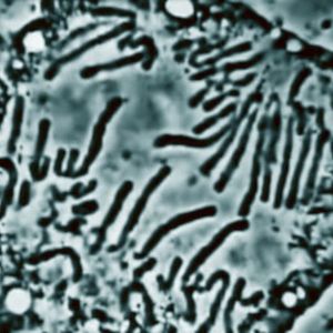 Photo Jamais la même Histoire