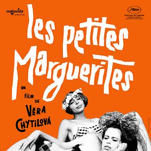 Photo Les Petites Marguerites