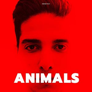 Photo Animals