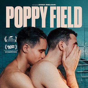 Photo Poppy Field