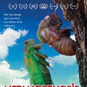 Photo Metamorphosis, la lutte pour la vie