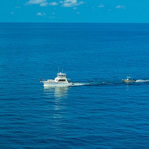 Photo Les aventures extraordinaires de Bertie Gregory