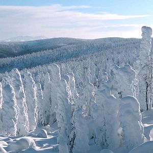 Photo Alaska, l'aventure à skis