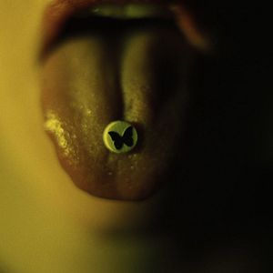 Photo Les Papillons noirs