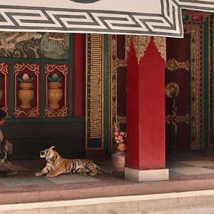 Photo Le Nid du Tigre