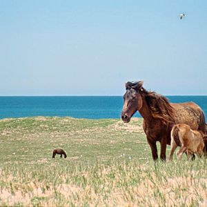 Photo Geographies Of Solitude
