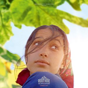 Photo Sous les figues
