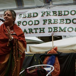 Photo Les Graines de Vandana Shiva