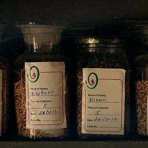 Photo Les Graines de Vandana Shiva