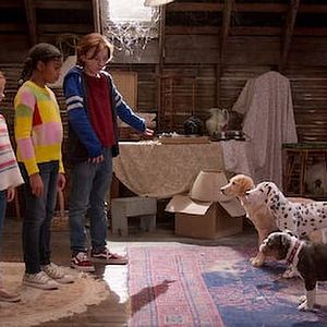 Photo Phantom Pups : En chair et en os ?