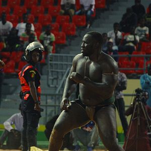 Photo Une Terre de jeux