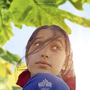 Photo Sous les figues