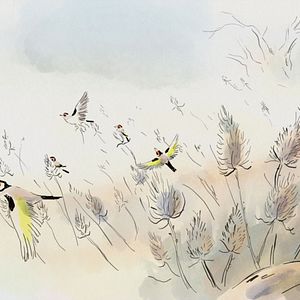Photo A vol d'oiseaux