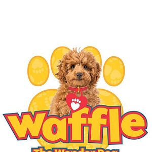 Photo Waffle, le chien waouh
