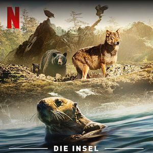 Photo Bienvenue sur l'île des loups