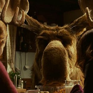 Photo Christmoose Carol