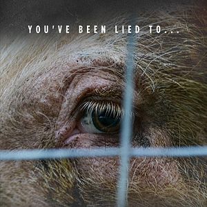 Photo Hogwood : La ferme de l'horreur