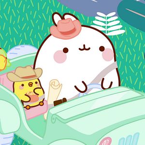 Photo Molang