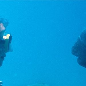 Photo Blueback – une amitié sous-marine