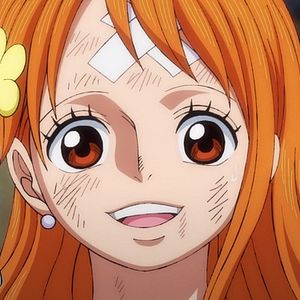 Photo One Piece