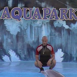 Photo Qu'est-il arrivé au roi des dauphins ?