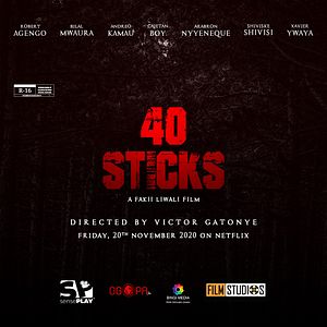 Photo 40 Sticks