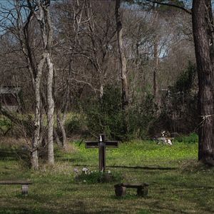 Photo Scène de crime : Les champs macabres du Texas