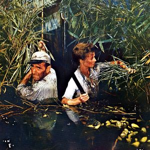 Photo Katharine Hepburn