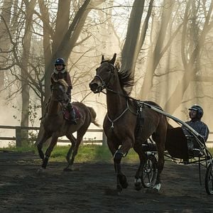 Photo Charlie Paulet