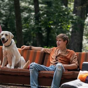 Photo Johnny Berchtold