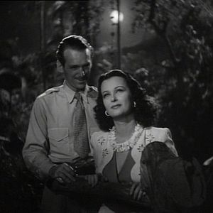 Photo L'Enfer vert