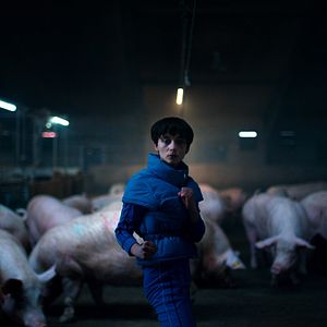 Photo Copenhagen Cowboy