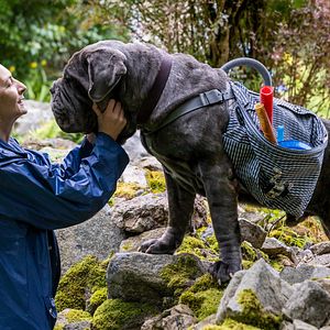 Photo Corinne Masiero