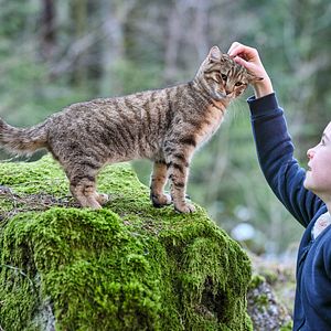 Photo Capucine Sainson-Fabresse