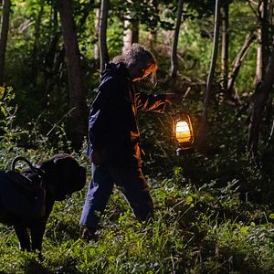 Photo Mon chat et moi, la grande aventure de Rroû