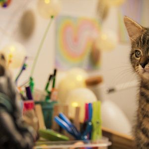 Photo Mon chat et moi, la grande aventure de Rroû